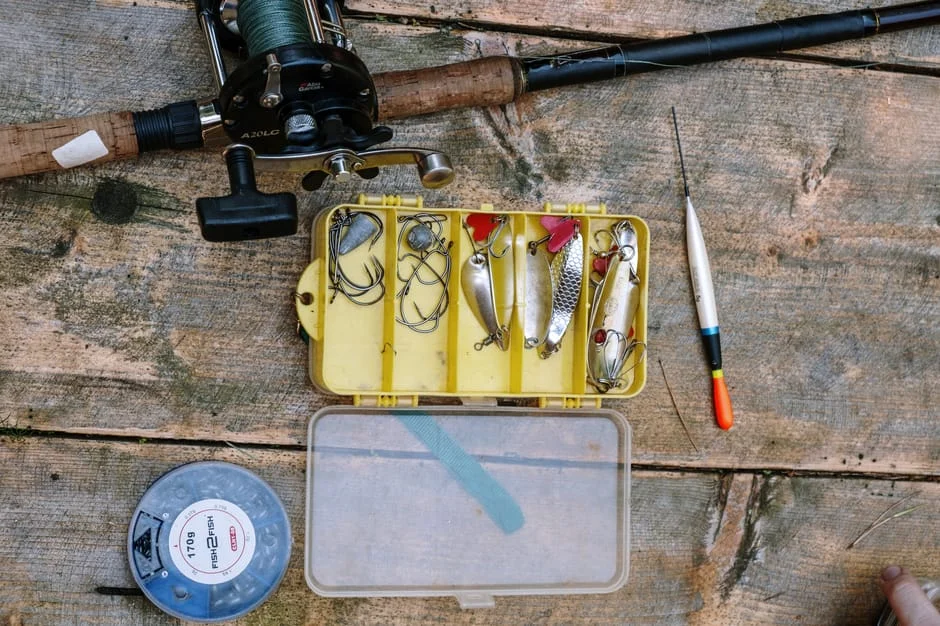 Best Terrestrial Flies for Summer Trout: Top Picks Reviewed